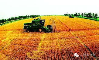 國家現(xiàn)代農(nóng)業(yè)示范區(qū) 農(nóng)民與種植技術(shù)開發(fā)的共贏新篇章