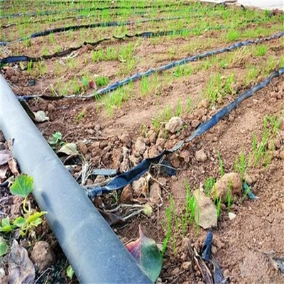 滴灌帶技術(shù)與農(nóng)業(yè)種植革新——以聊城潤源微噴帶廠為例