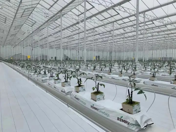 未來農場已來 探秘垂直蔬菜工廠，顛覆傳統(tǒng)農業(yè)種植技術